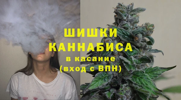 СК Нягань