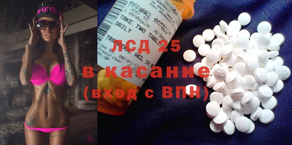 хмурый Ессентукская