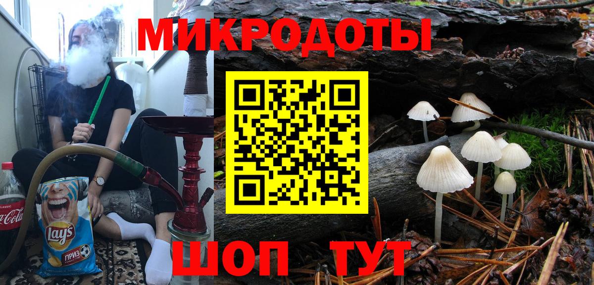 Галлюциногенные грибы Psilocybe Рославль
