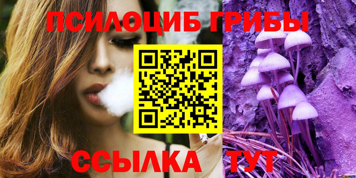 Галлюциногенные грибы Cubensis  Рославль 