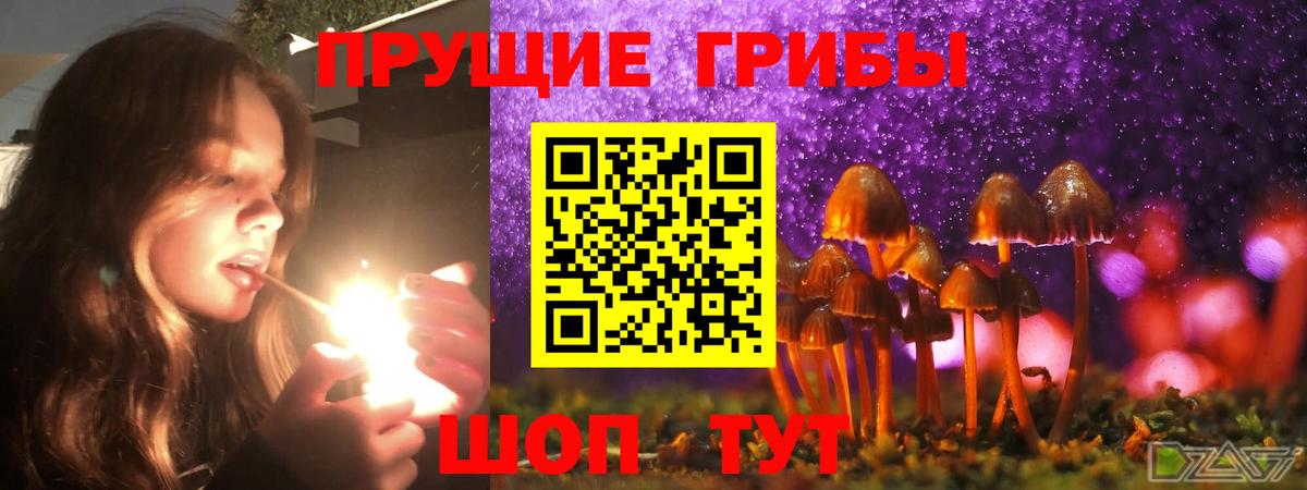 Рославль  Галлюциногенные грибы MAGIC MUSHROOMS  Вход с VPN 
